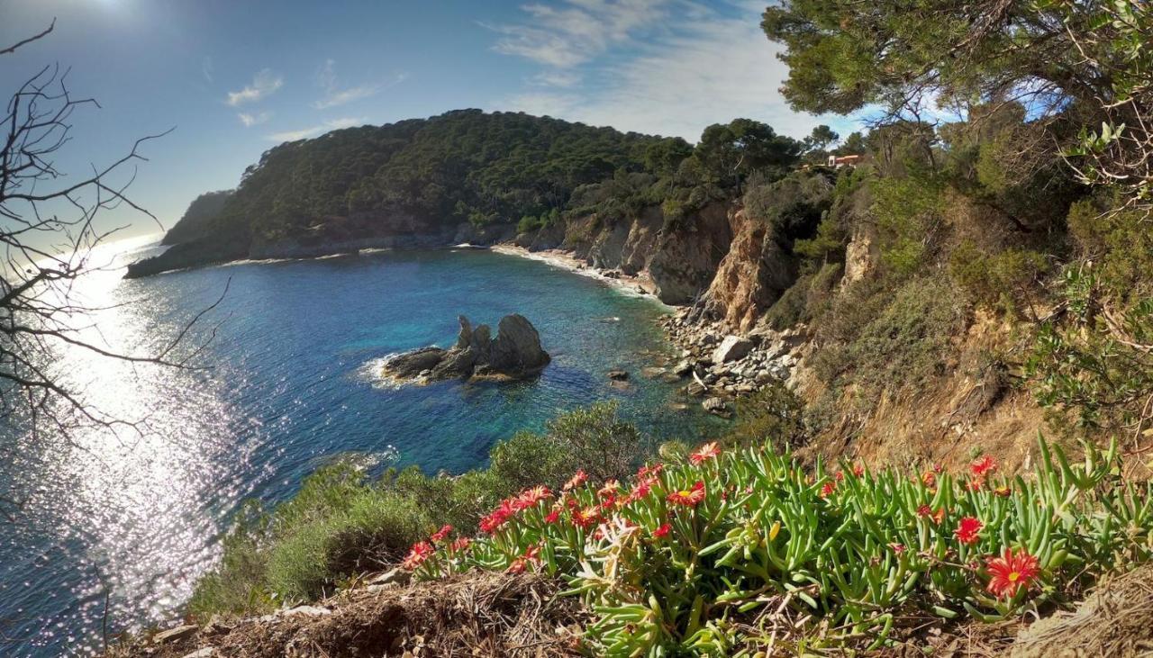 Apartment Proche Port Et Plages, Piscine *